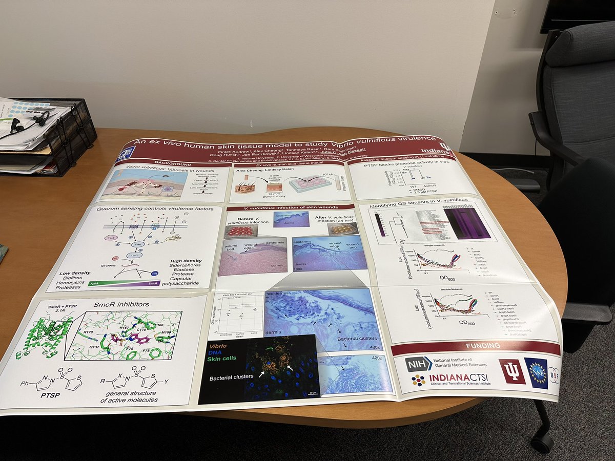 The folded conference poster. I did it. Felt great, too. #nomoretube