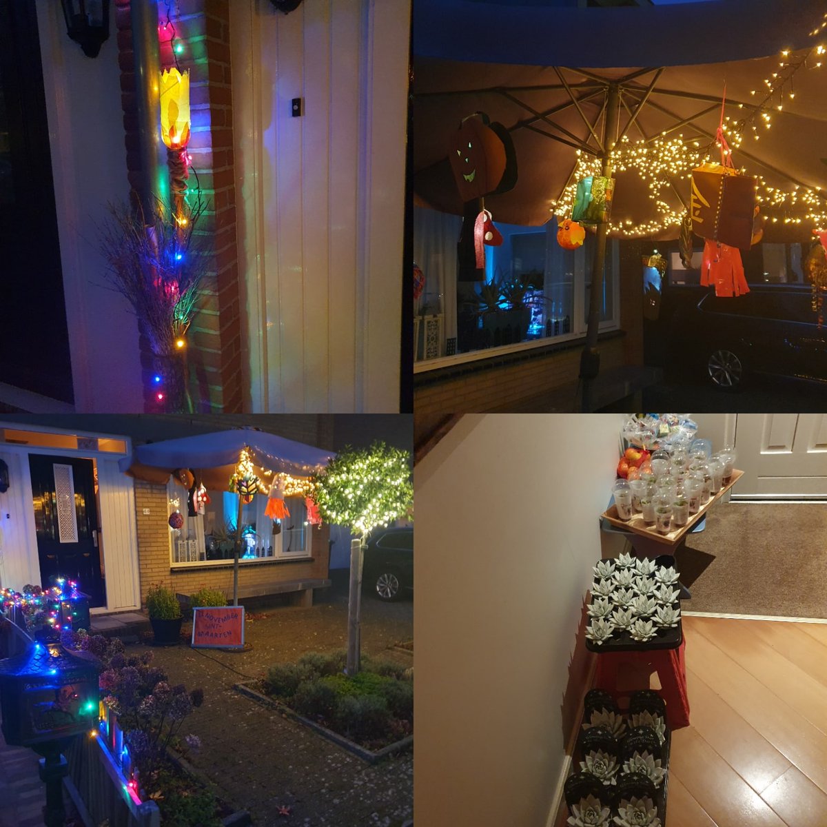 Mijn <a href="/GameMeneer/">Don | GameMeneer</a> deelt #Sintmaarten planten uit. Keuzes snoep of #planten hier vliegen de planten de deur uit <a href="/CornBak/">Corn. Bak</a> <a href="/AmigoPlant/">Amigo Plant BV</a> <a href="/FloraHolland/">Royal FloraHolland</a> snoep wat overblijft komt wel op. Nog 15 min en dan ruim ik op. Geslaagde avond 🤩