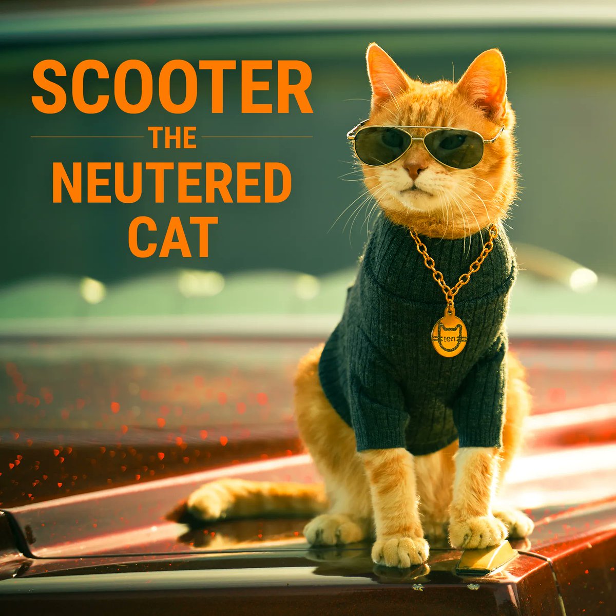 4 Facts About Me:
✂️ Getting neutered was the best choice I ever made 
🐈 I’m a cat-vocate working for a no-kill nation for cats 
🕶️ I’m famous for my hip spectacles and no testicles 
😼I’m single 

Follow me to join my mission to help cats!

#itsneuteredscooter givethemten