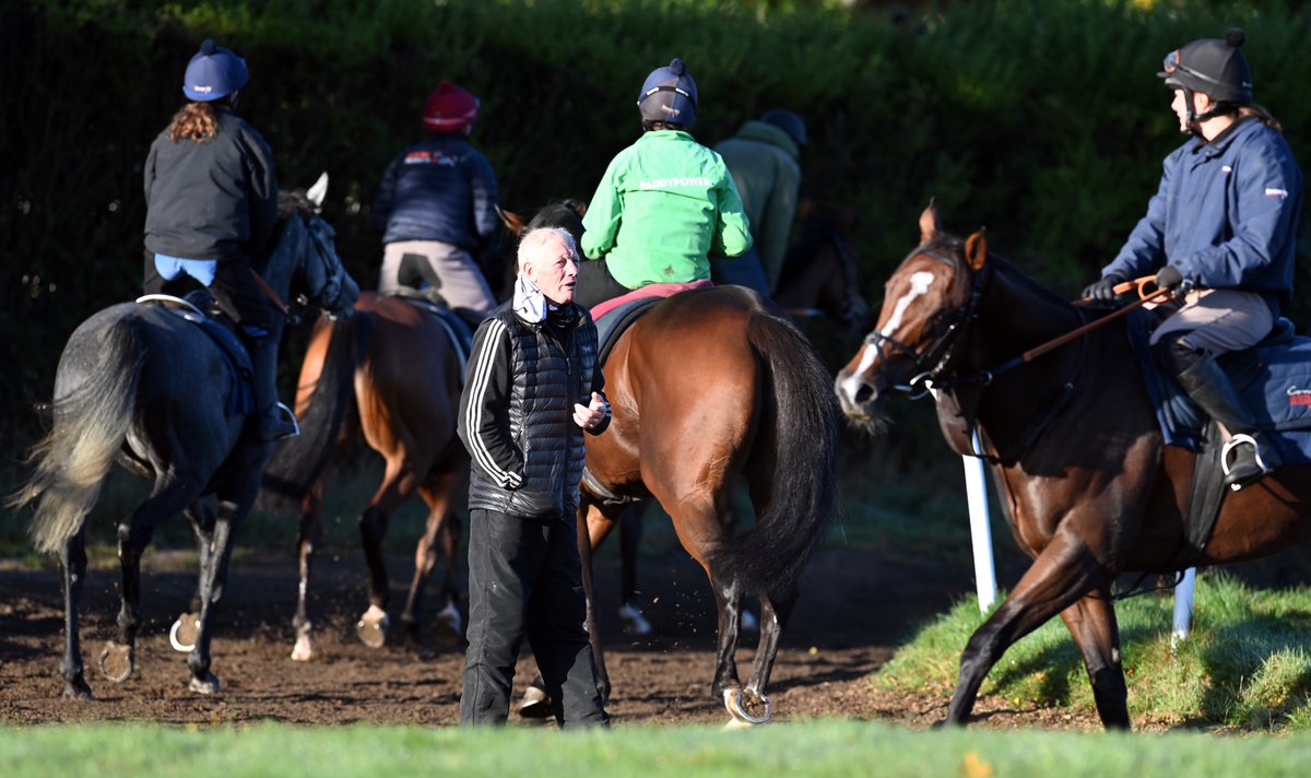 TheOwnerBreeder's tweet photo. 'When the times comes I'll disappear into the background' – trainer Gary Moore, who runs Nassalam in the Paddy Power Gold Cup @CheltenhamRaces, looks to the future at Cisswood Stables: https://t.co/4dupdmiXfV https://t.co/uNYODTnQsr