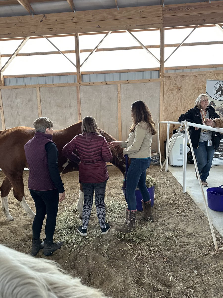 Students from the Adult Transition Program enjoyed a barn experience where they learned about safety, horse observation, grooming, and more. It was a wonderful experience and we look forward to including additional special education programs in the weeks to come. <a href="/rochcommschools/">Rochester Community Schools</a>
