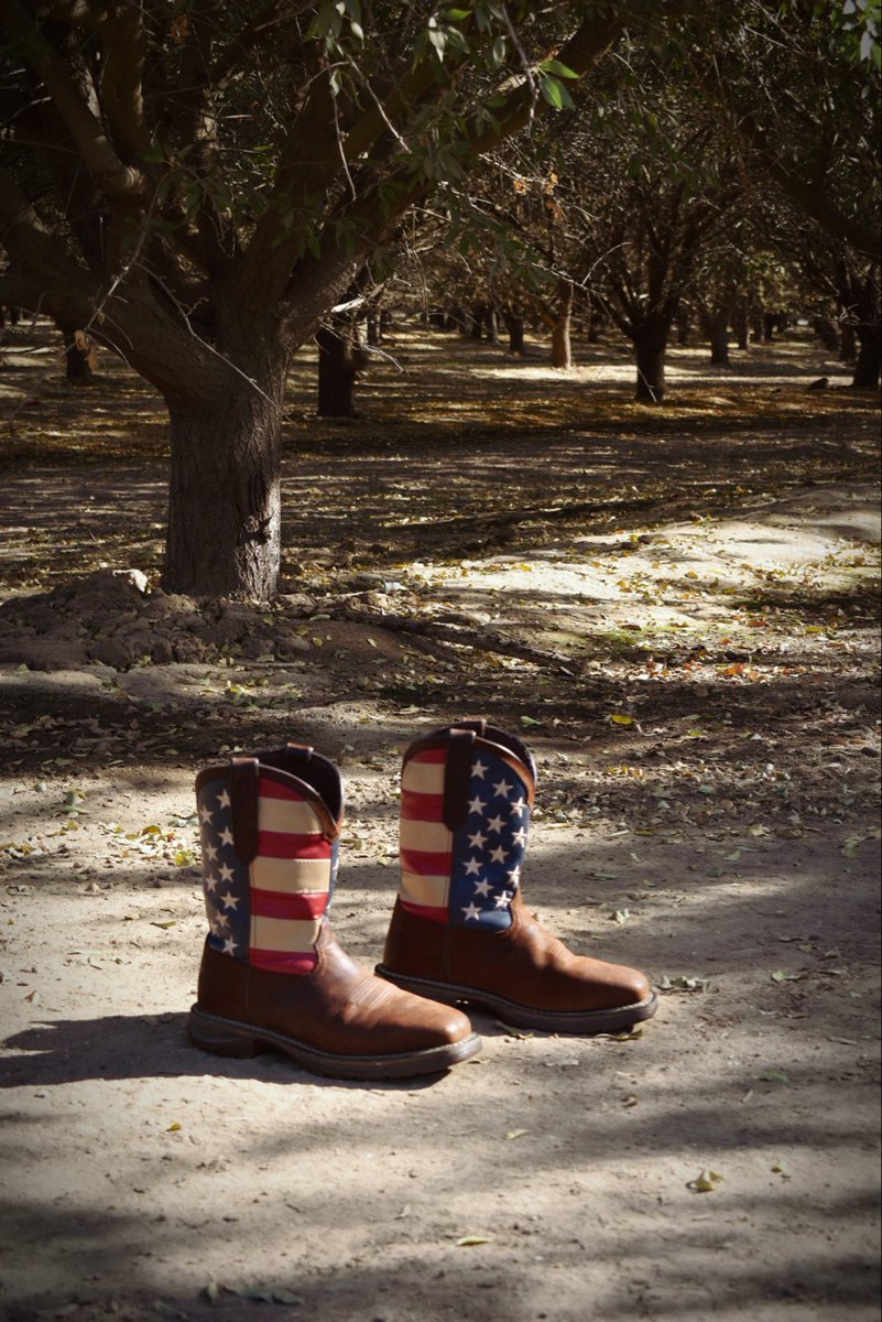 Suterra celebrates Veteran's day today as a company holiday to honor their sacrifices for our country. Thank you for your service!
#veteransday