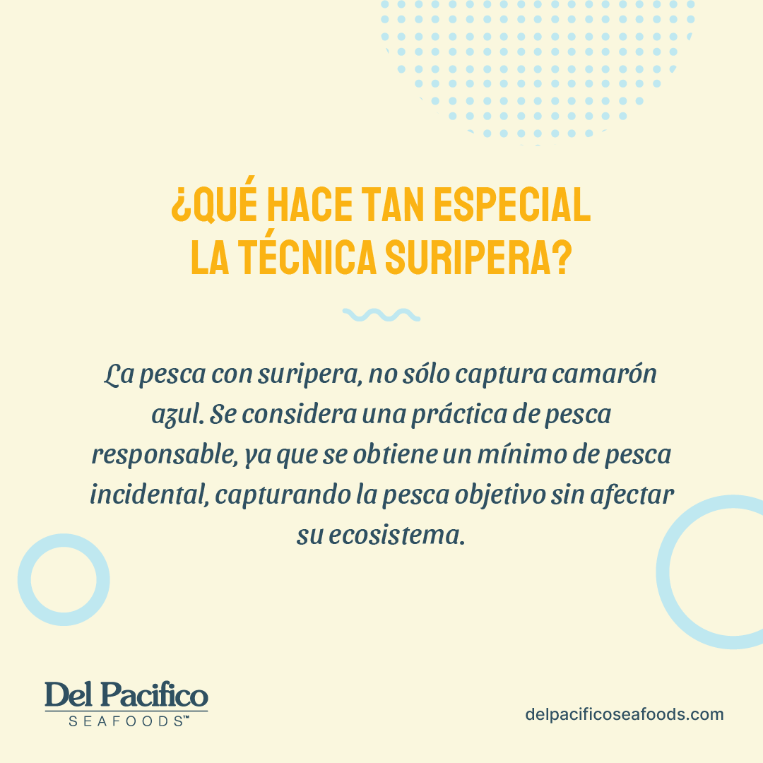 Nada como comer camarones con la certeza de que fueron captados con las técnicas más responsables y sostenibles. 🌎

#delpacifico #sustentable #camarones #artesanal #pescasalvaje #camaronazul #fairtrade #comunidadpesquera