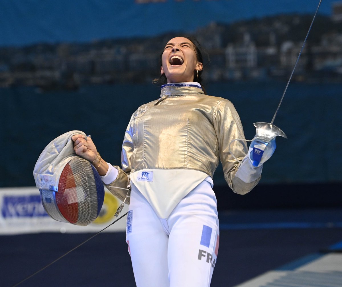 Fencing tweet media