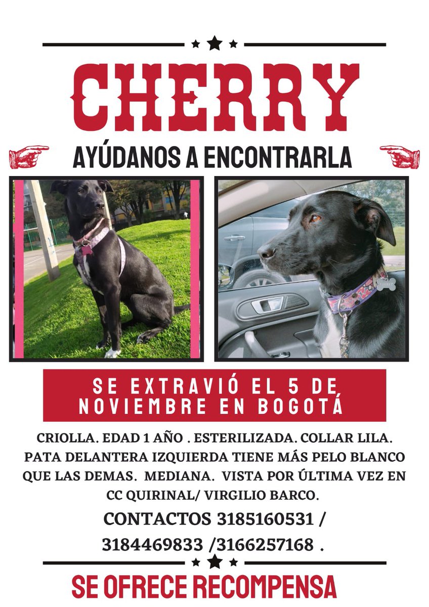 ¿Alguno en la Universidad Nacional en este momento? Nos informan que #Cherry puede estar en “la perola” ¿me ayudan?