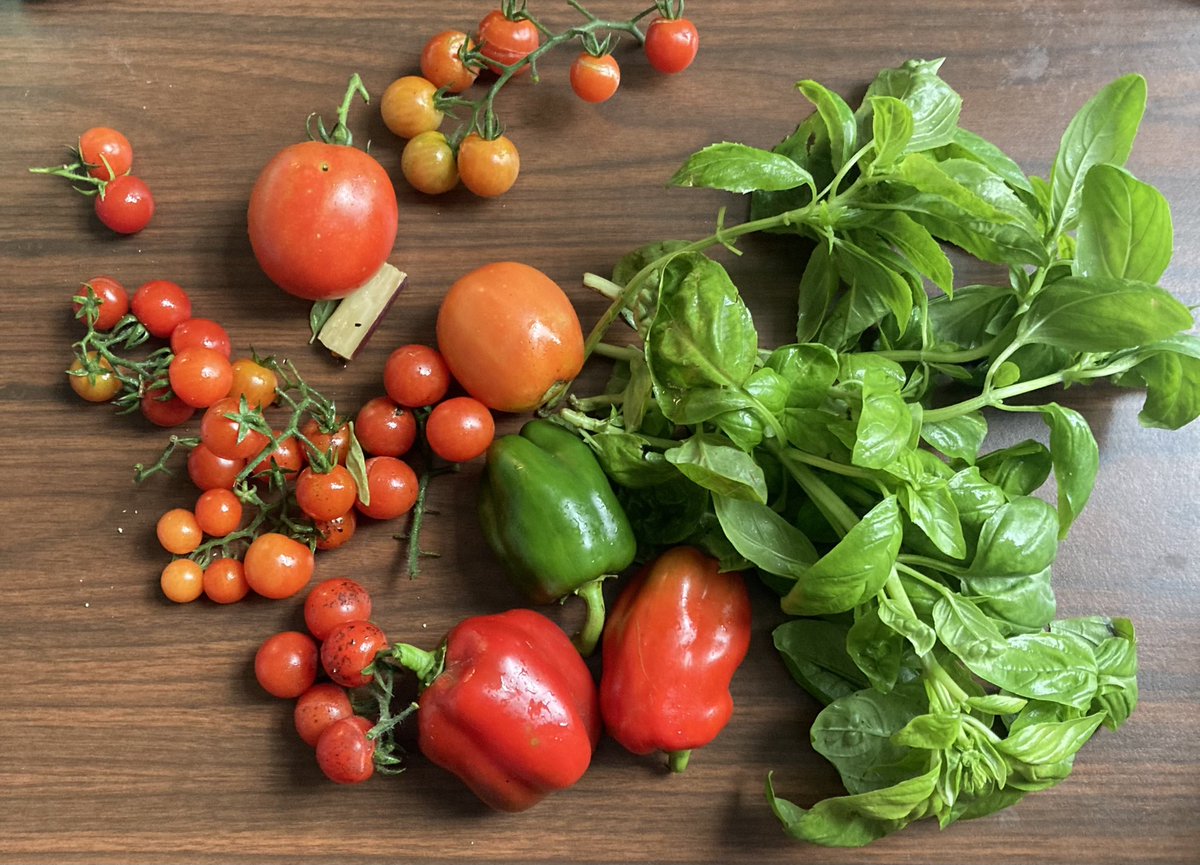 umctagga's tweet photo. Beautiful late fall haul from the Wilmington College student farmers’ market. Good work, Ag students and faculty! The campus farmer’s market always brings me joy. https://t.co/cIqoGfwm0H
