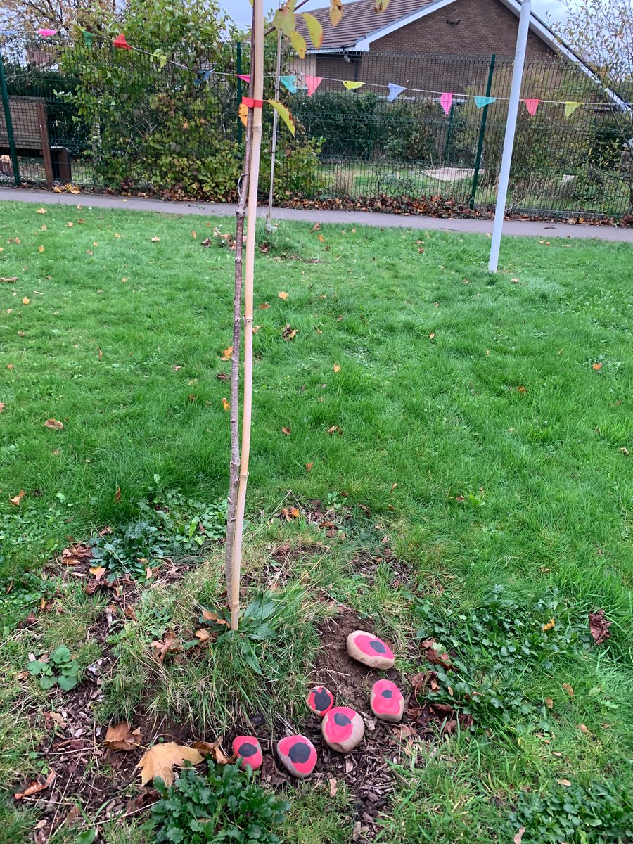 Pennardprimary's tweet photo. Each bae visited their Remembrance trees today to remember the people who have died in wars around the world and lay special stones to show their respect. Da iawn pawb! #pennhum https://t.co/YF6eJunblS