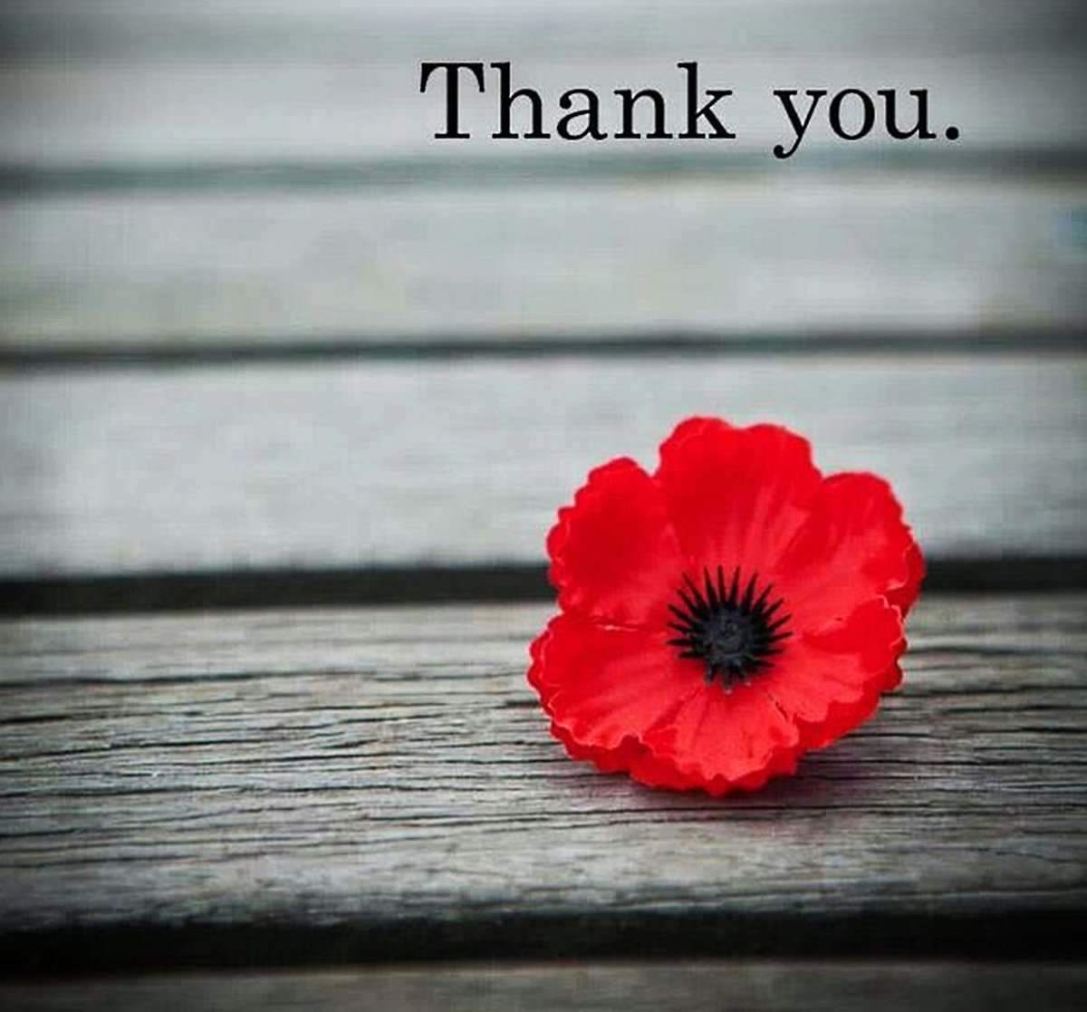 On this Remembrance Day, I honour those who have served and are serving. We are free because of you. #LestWeForget