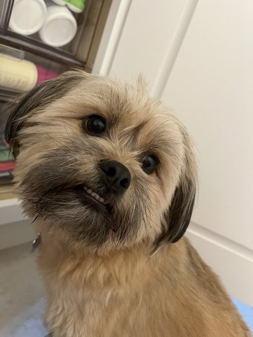 🦷 https://t.co/fJcx4sNY9q