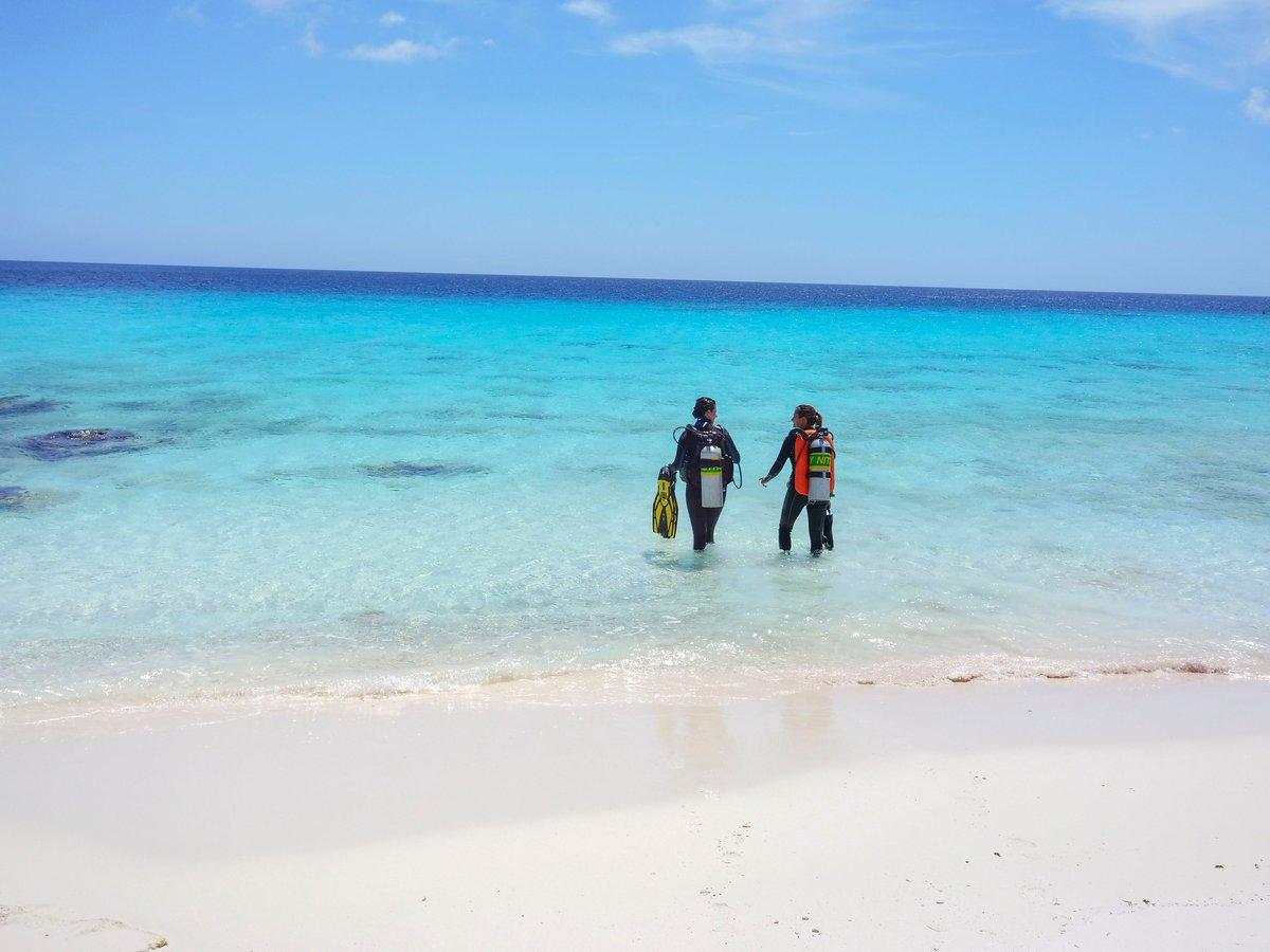 buddydive's tweet photo. For the 30th consecutive year, Bonaire has maintained its reign as the number one Shore Diving Destination in the Caribbean/Atlantic region in the @scubadivingmag Reader's Choice Awards!
#Buddydive #diving #shoredive #Caribbean https://t.co/ljVYoSsXKz