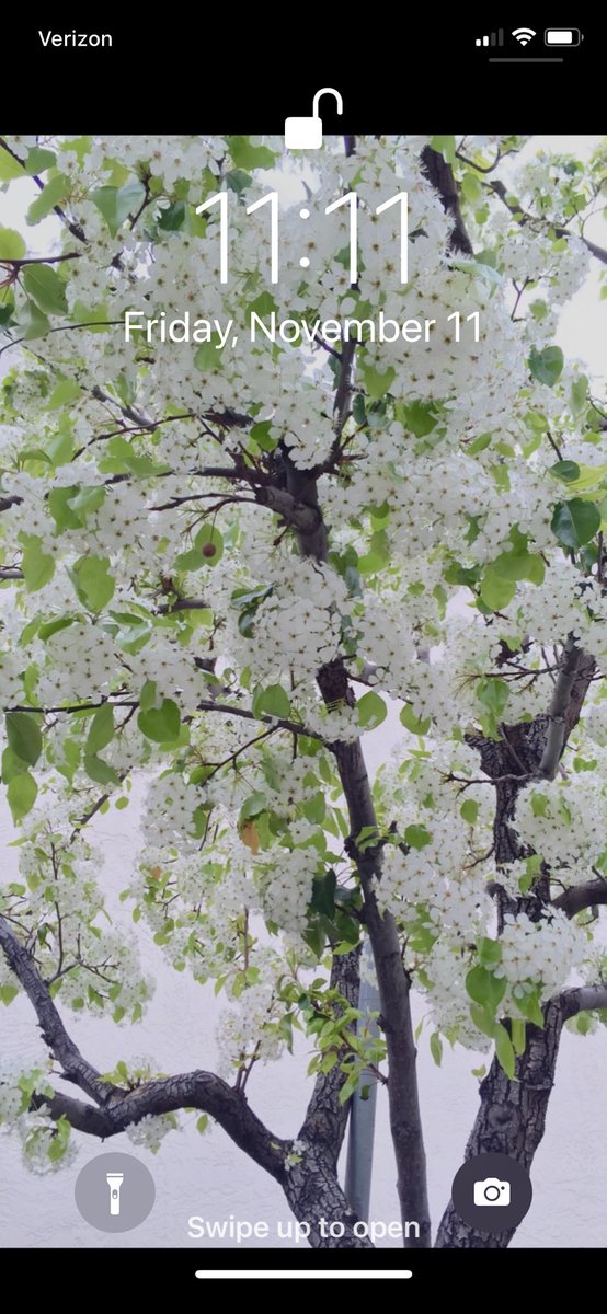 TadaCat29 tweet media