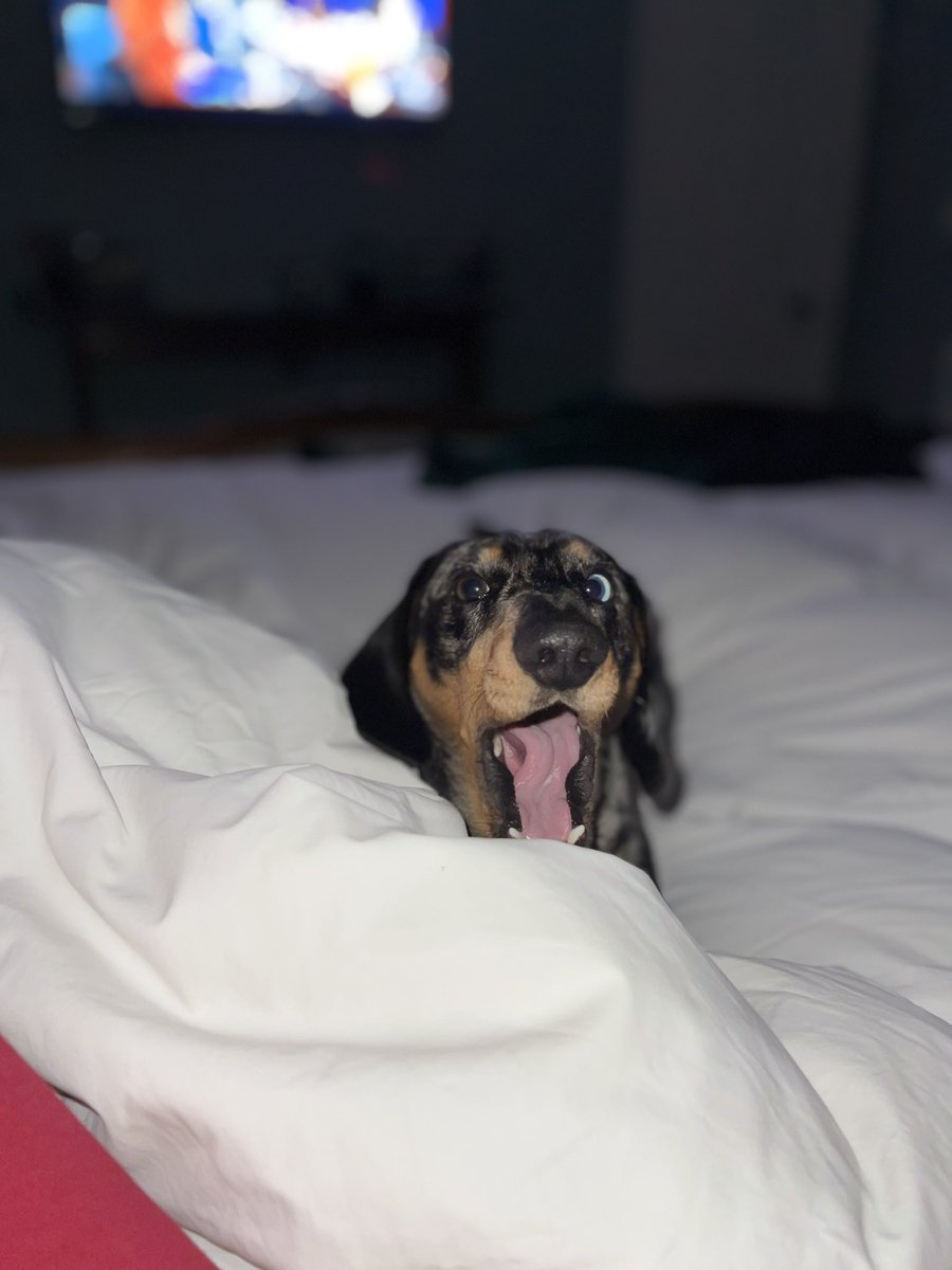 Wish I could sleep in my parents bed every night 🙄😴