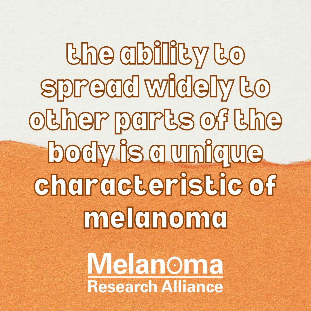 MelanomaReAlli's tweet photo. The ability to spread widely to other parts of the body is a unique characteristic of melanoma compared to the more common skin cancers, basal cell carcinoma and squamous cell carcinoma which only rarely do so. This characteristic makes melanoma the deadliest of all skin cancers. https://t.co/cCuqEgGsRN