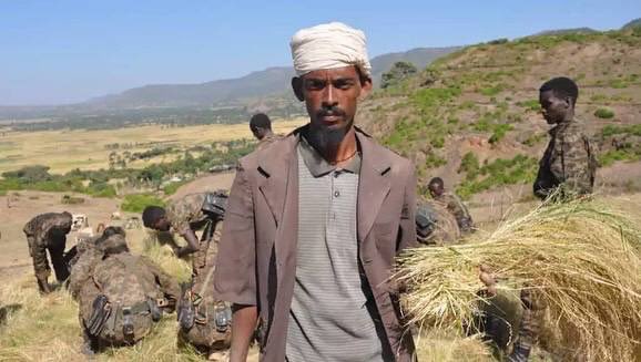 breaking_bre's tweet photo. ENDF helping farmers harvest in Tigray. https://t.co/tc1vtMRpNS