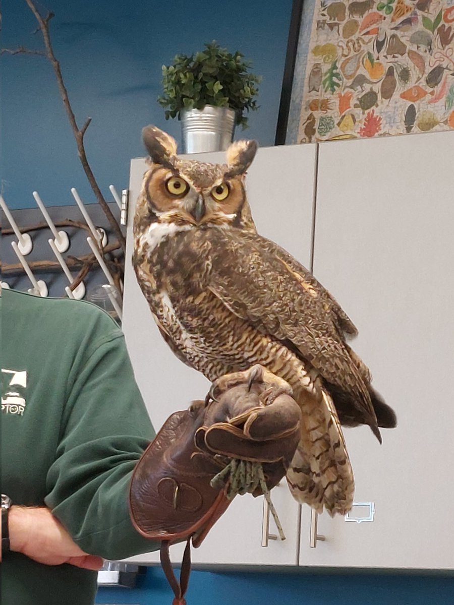 AvesBioClub's tweet photo. We had a great time yesterday learning about raptors from @RAPTORIncOhio! It was very cool to see all the birds! Thank you to everyone who came and to Raptor Inc. for teaching us about them! https://t.co/2e9vZqViXE