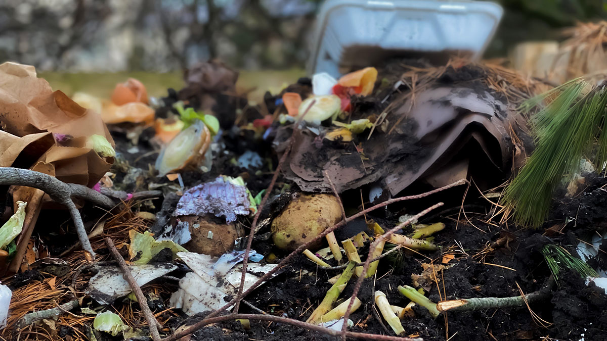 CaraSantaMaria's tweet photo. Citizen scientist project finds 60% of ‘compostable plastic’ doesn’t compost. 😱
#Composting #Plastics #Bioplastics #Environment #CompostablePlastics
https://t.co/oqgN8heP5d via @CosmosMagazine https://t.co/7wYmZ9SRJB