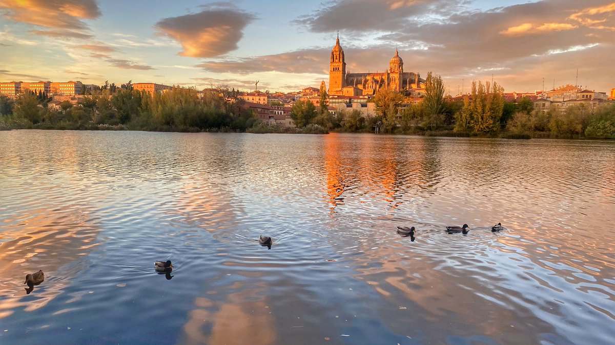 “El amor en su lugar”.
Aunque su áspero frío te congele la nariz, tiene una belleza que atrapa, enamora y te hará echarla de menos cuando te alejes. 
#Salamanca
