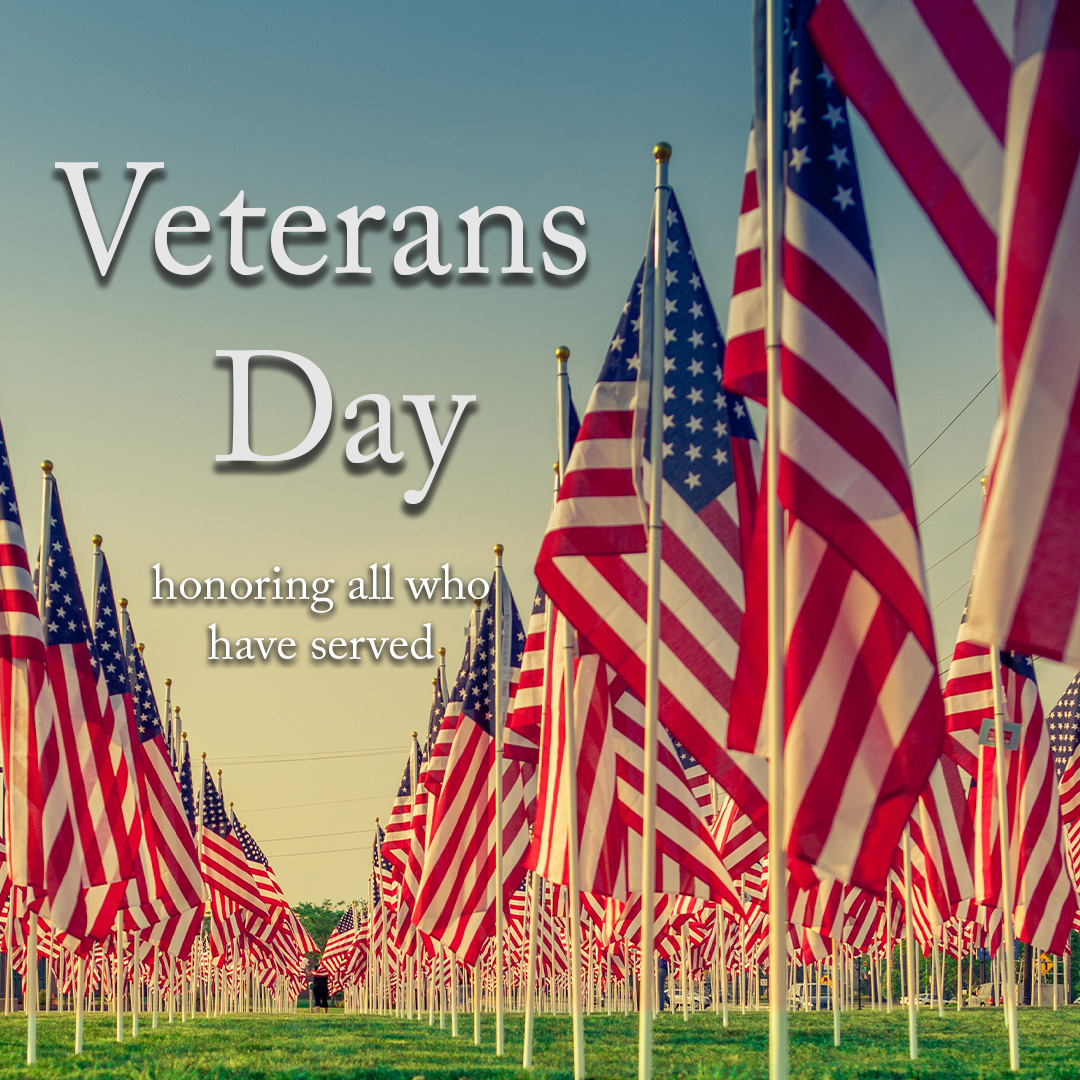 Thank you to all the soldiers who served. 🇺🇸
#VeteransDay