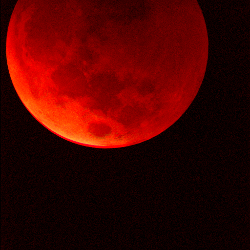 Radford Physics tweet media