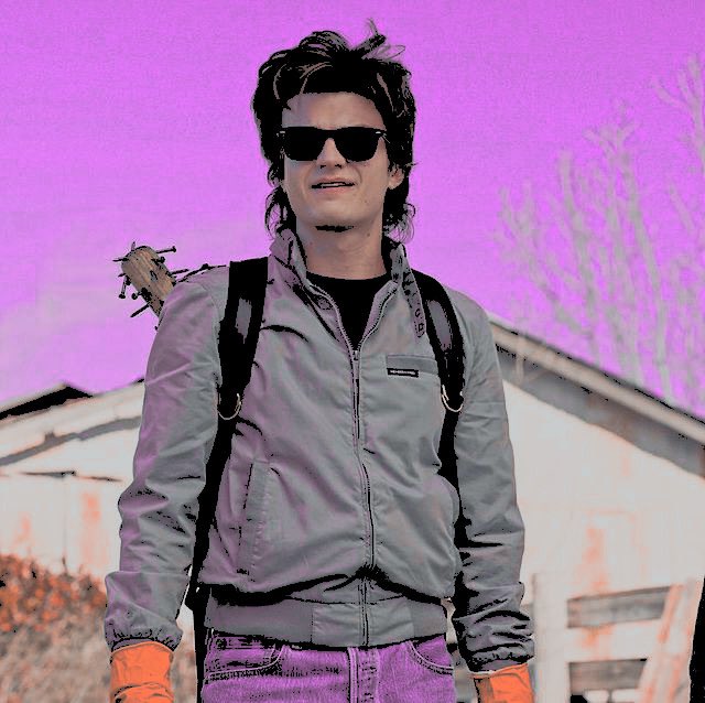 a.allycat𖤐 no minor muses or muns!!! steddie, stancy stonathan and harringrove allowed!