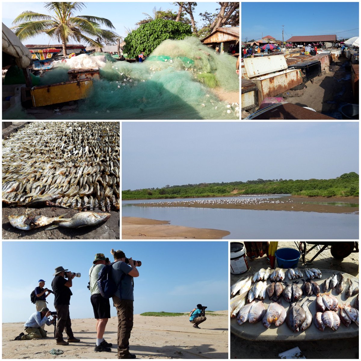 Wenda de Koning tweet media