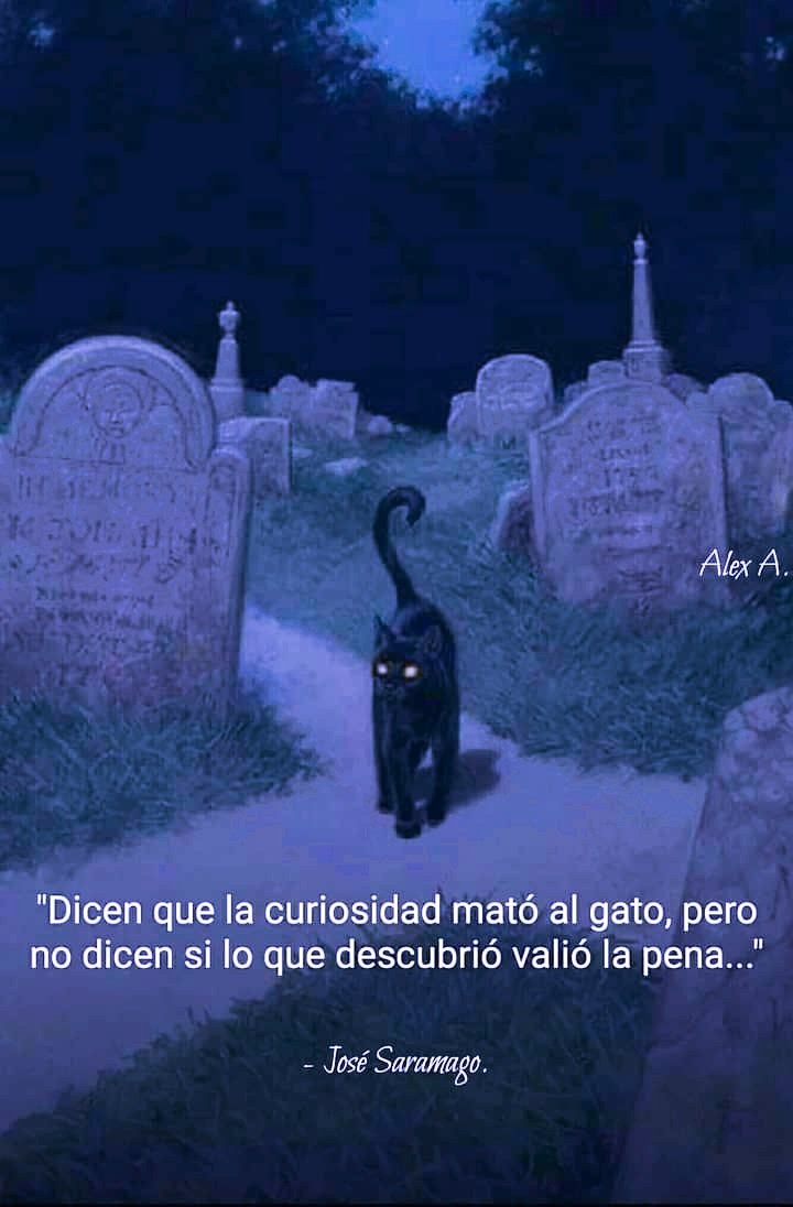 Se prudente con lo que buscas,  lo puedes encontrar!!.
.