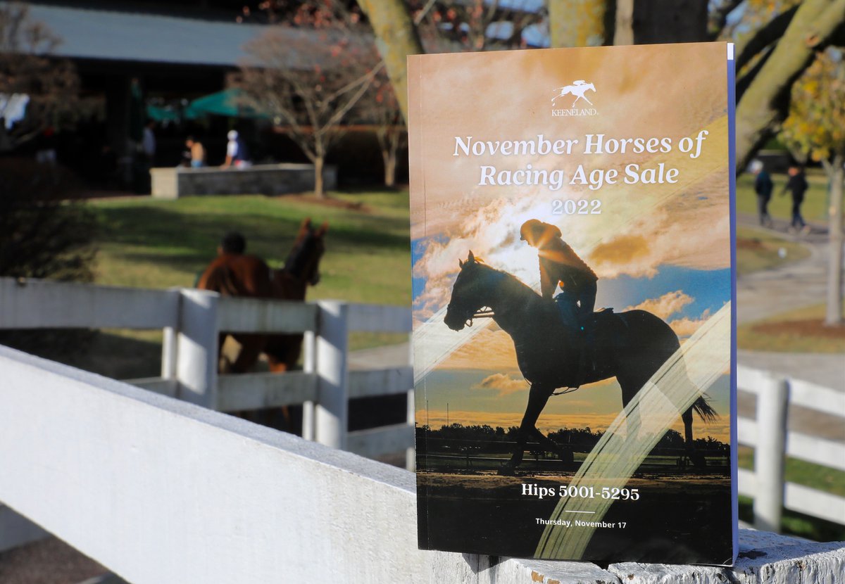 keenelandsales's tweet image. Catalogs for the November Horses of Racing Age Sale on Nov. 17 are available for pickup in the Sales Pavilion! #KeeNov
