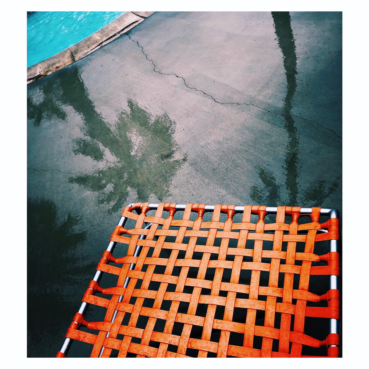 ..feeling a need to be surrounded by palm trees …#photography #fujifilm #fujifilm_xseries #travelphotography