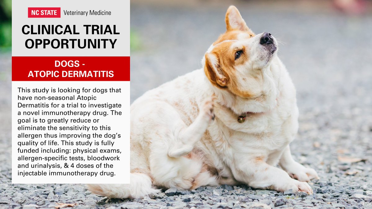 Tweet by NC State Vet Medicine