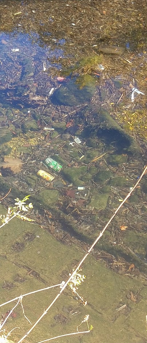 visitmarseille's tweet photo. @Elisabeth_Borne svp quand vous serez à #marseille voyez l'état du cours d'eau #huveaune https://t.co/pnySN78crq