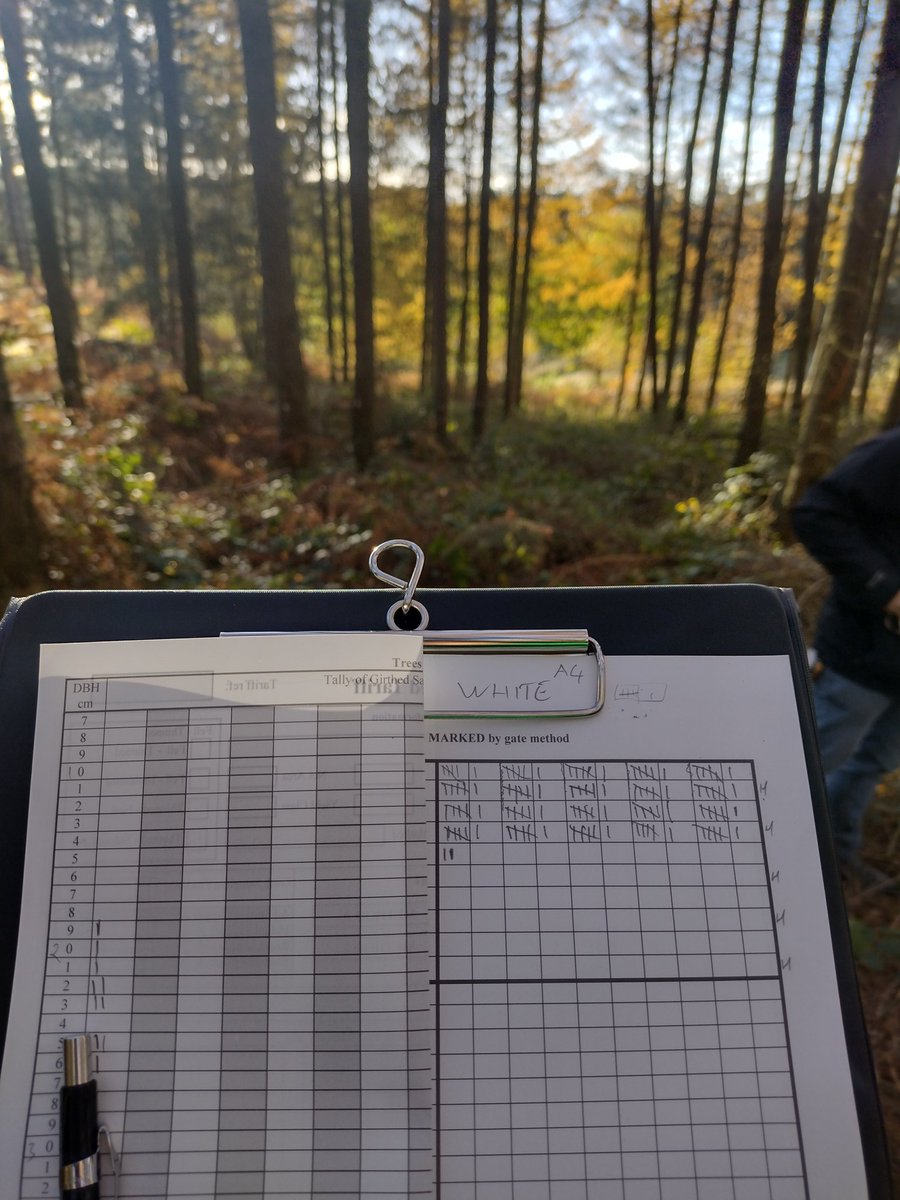 MarkBeerFC's tweet image. This week has been a block study week at the @ForestryComm training centre at Cannock, starting my next @CumbriaUni module Timber Mensuration.