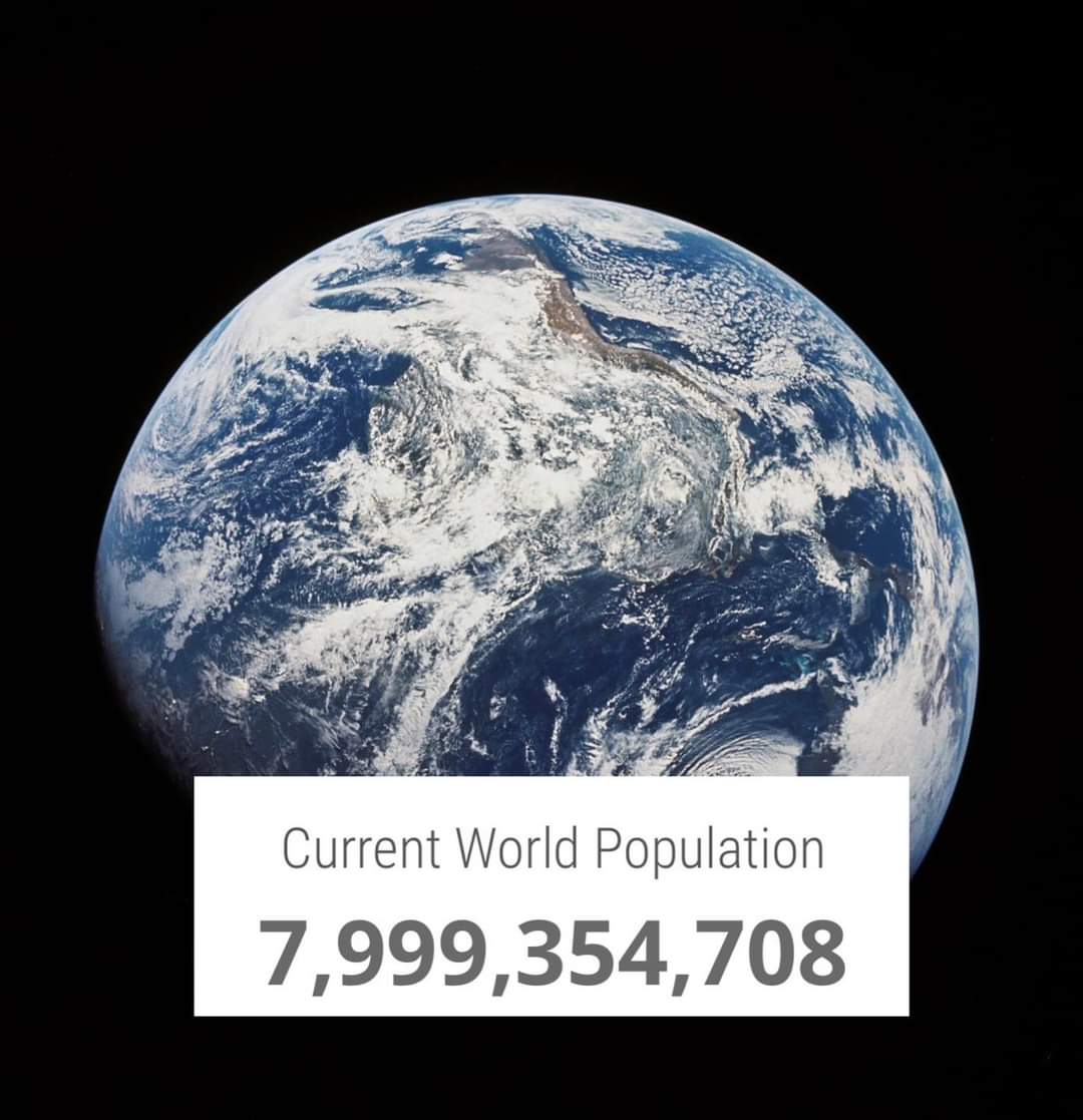 A solo unas horas de que la población mundial sea de 8 mil millones de personas.