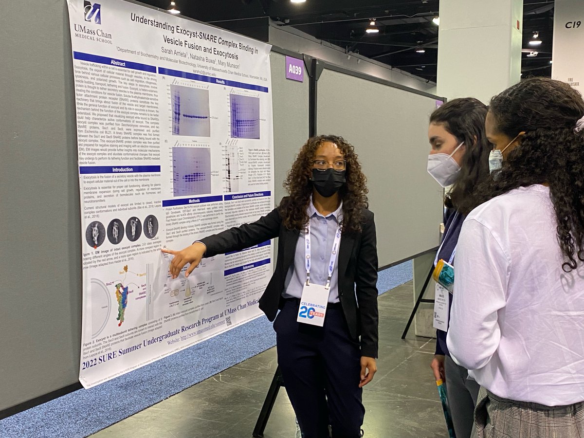 Phyllis R. Robinson tweet media