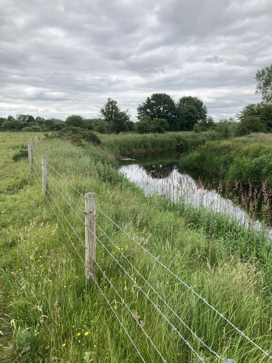 Thank you to the DAFM Ministers and their officials for taking the concerns of our members into consideration on the ACRES deadline. It is now extended to the 7th of December and will give members some additional time to deal with current workloads.