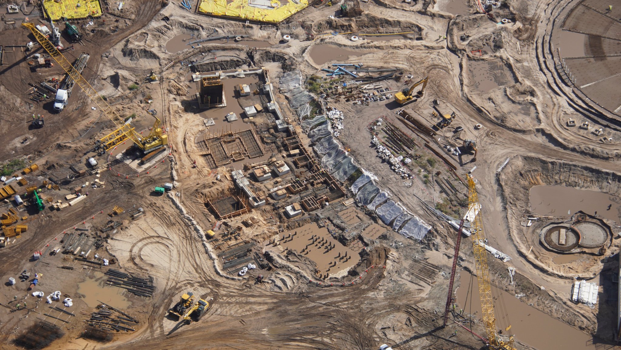 bioreconstruct on Twitter: 