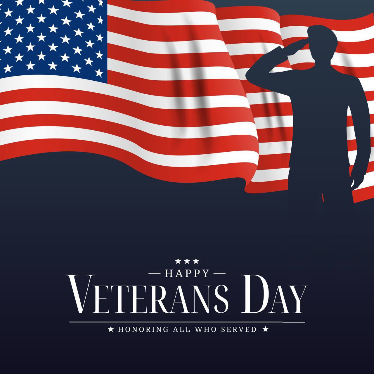 Veterans day interviews