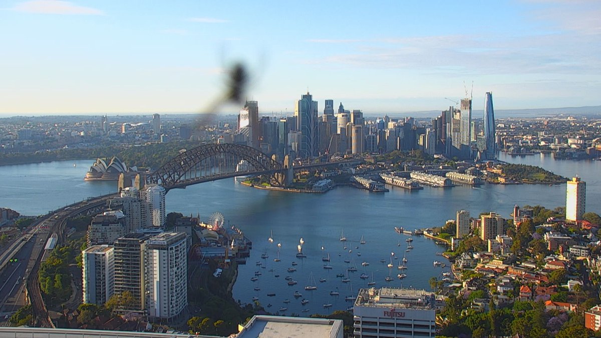 Excuse me sir 🕷️🕷️🕷️🕷️🕷️🕷️