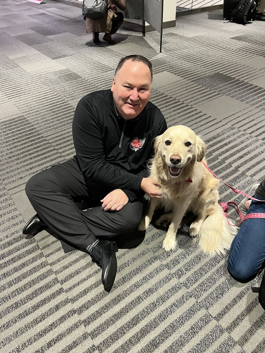 denulovesmath's tweet photo. Meg making new friends this morning at today’s sessions! #omla2022 #facilitydog https://t.co/ayw9sH1B9i