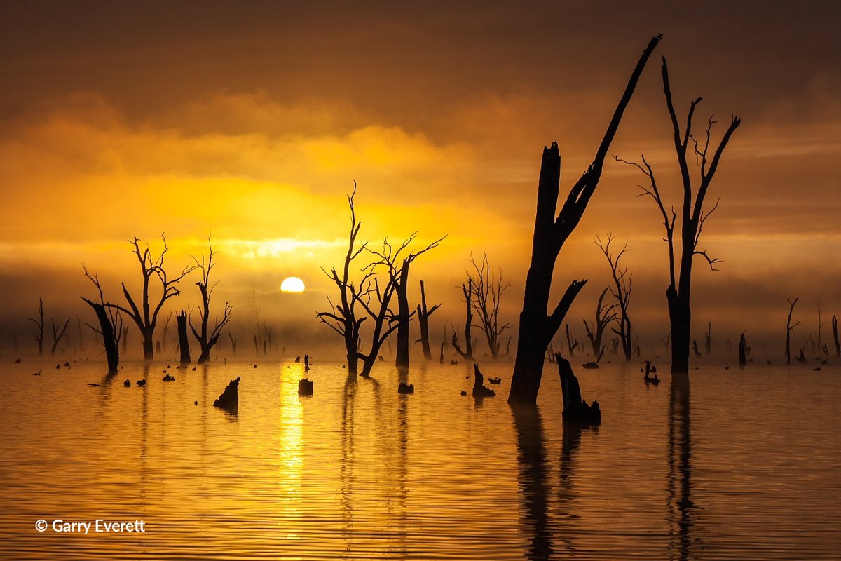 Share the View Photo Contest tweet media