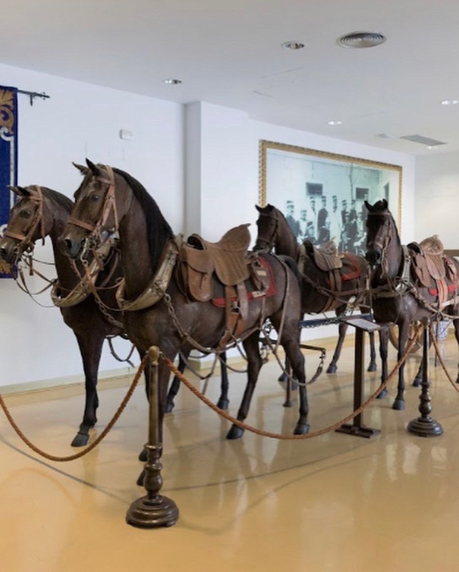 El pasado día 10, nuestros alumnos de 6° dieron un paseo por una parte de nuestra historia, visitando la “Sala histórica de la Guardia Real” Institución creada en el año 1504. #CpMirasierraMadrid #bilingualschool #EscuelaPública