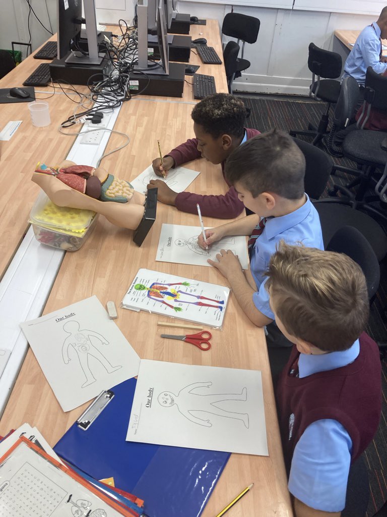 StCharlesGla's tweet photo. Today our #Scientists in Primary 4a learned about the different organs in their bodies and their functions during their #STEMSession with Miss Burke.  They did some great #Teamwork on the organ #FactFindingChallenge! #BiologicalSystems #BodySystemsAndCells https://t.co/VOI0TTP34U