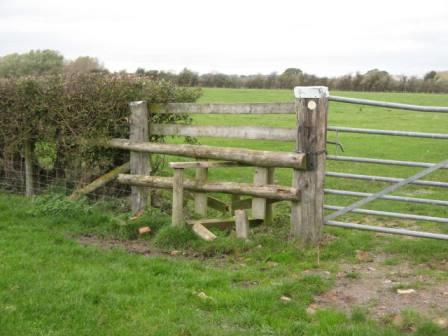 Kate Ashbrook tweet media