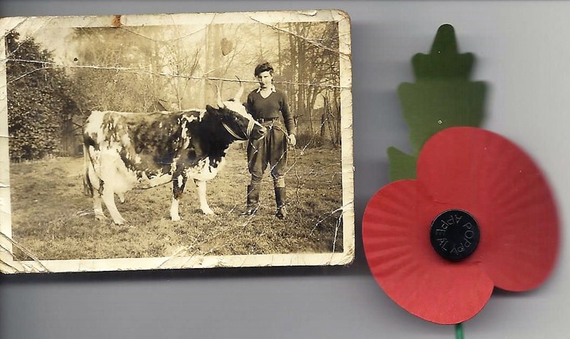timedetectives's tweet image. As we mainly get posts of men on Remembrance Day, I thought I'd give a shout to my Mum when she was in the Women's Land Army in WW2. (For the avoidance of doubt, me Mum's the one on the right).