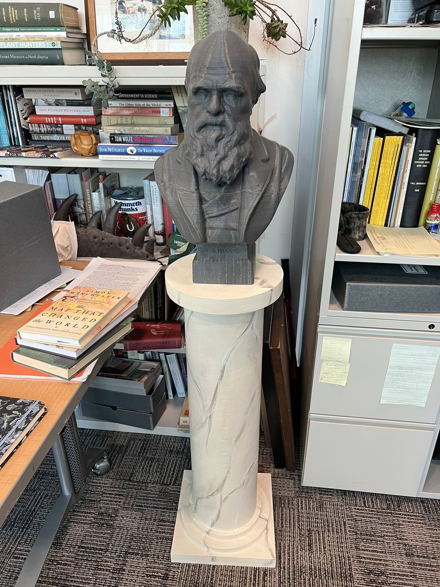 Paul D Brinkman tweet media