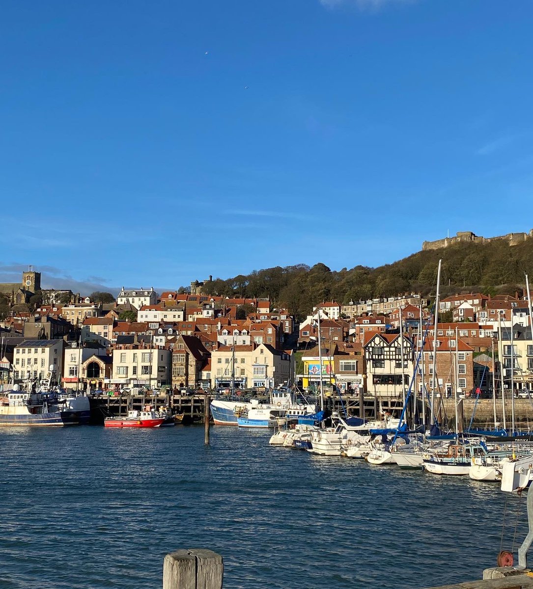 What a way to end #TrusteesWeek with a visit to a small charity supported by @ProudfootGroup @ValerieAston then a chippy lunch, a walk around Scarborough marina, then future planning for @MADLcharity struggling to call it work really! What a team 🫶