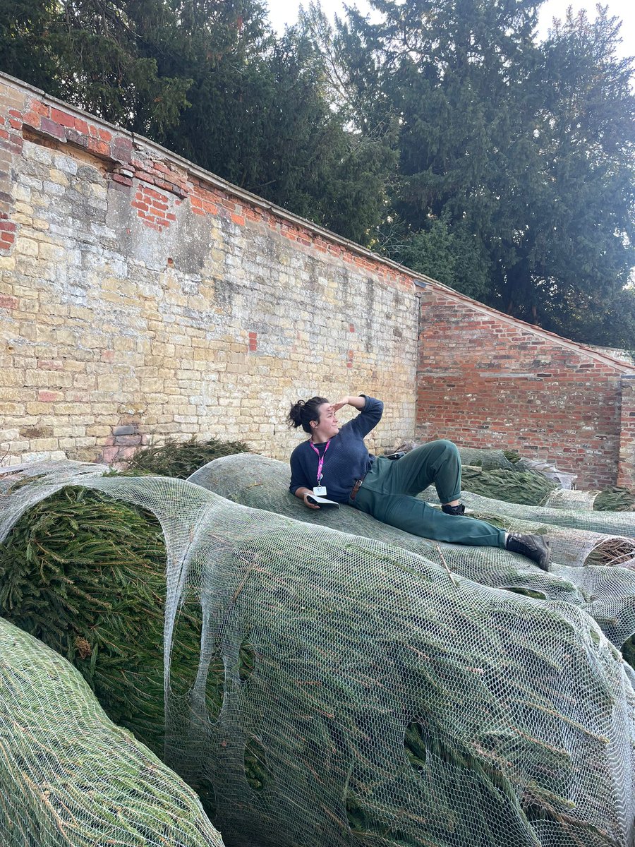 robboanna tweet picture