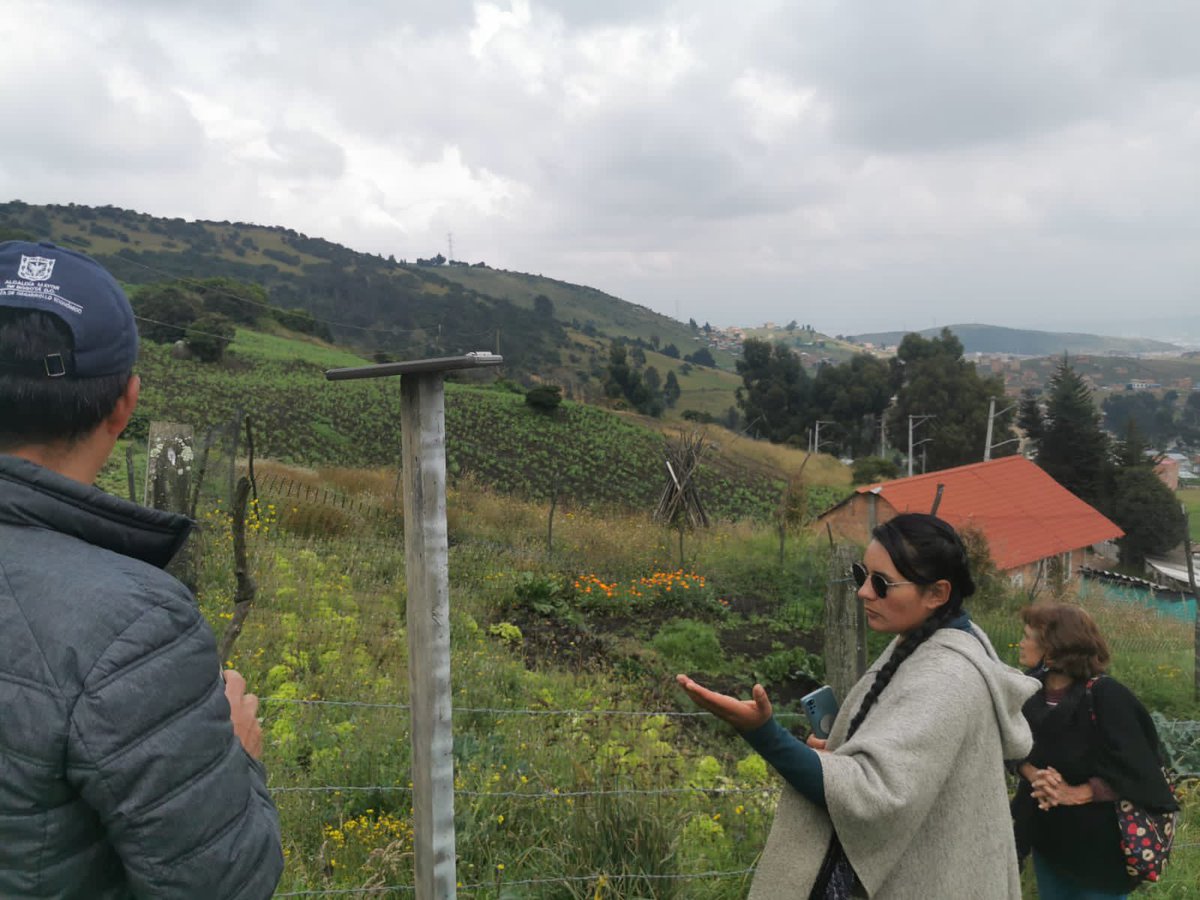 bogotacomovamos's tweet photo. 👩🏽‍🌾 Mujeres quibanas, en articulación con @DesarrolloBta @URosario y el proyecto #YoAportoAlDerechoALaCiudad de #BogotáCómoVamos, siguen en el proceso de fortalecimiento para comercializar productos de sus huertas urbanas🍎 Memoria, inclusión, ruralidad y sostenibilidad en Quiba🌽 https://t.co/wOcWqDCfoX