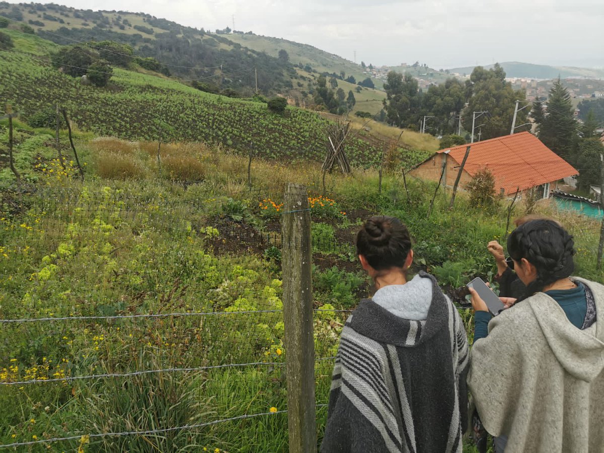 bogotacomovamos's tweet photo. 👩🏽‍🌾 Mujeres quibanas, en articulación con @DesarrolloBta @URosario y el proyecto #YoAportoAlDerechoALaCiudad de #BogotáCómoVamos, siguen en el proceso de fortalecimiento para comercializar productos de sus huertas urbanas🍎 Memoria, inclusión, ruralidad y sostenibilidad en Quiba🌽 https://t.co/wOcWqDCfoX