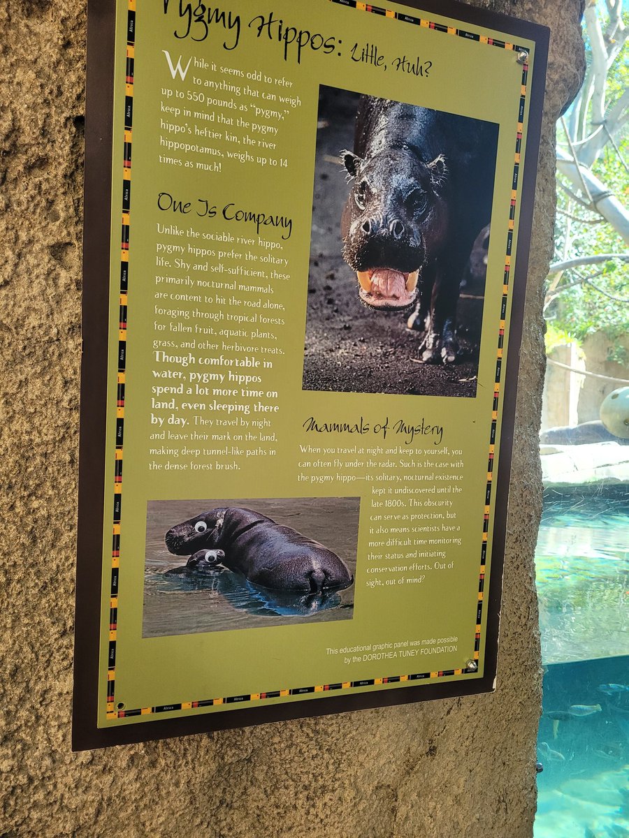 Um, @bonniegrrl did you #vandaleyes the San Diego zoo? 🤣