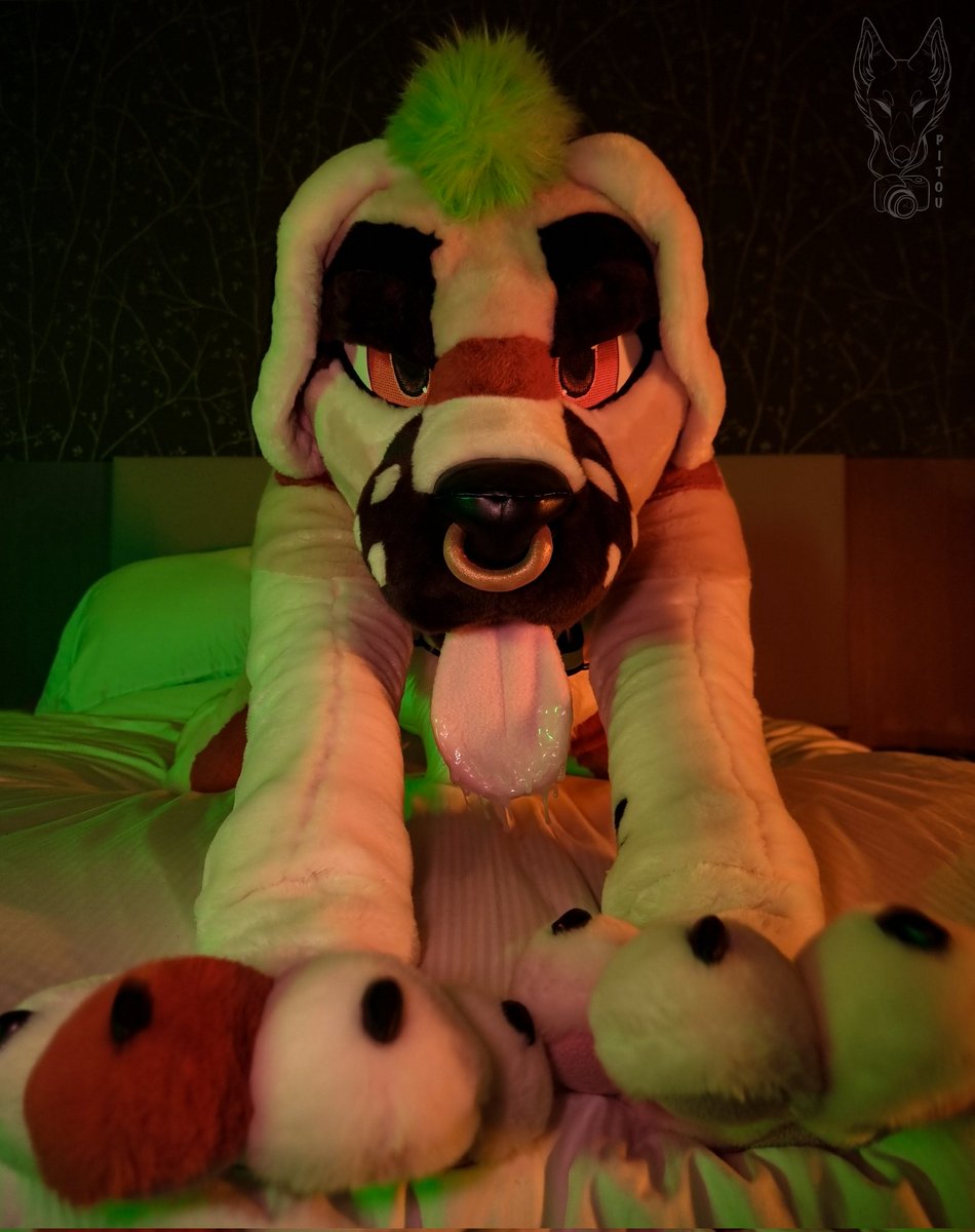 Come closer if you wanna play but be careful, this big dog likes it rough...

📸 <a href="/RikouPitou/">Rikou Pitou NSFW</a>